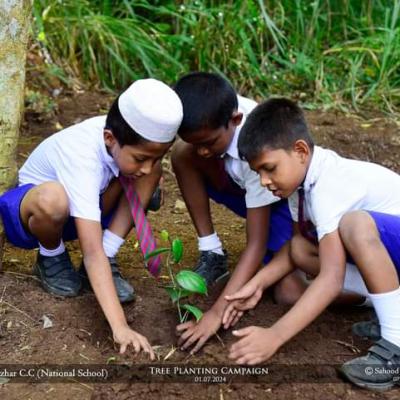 Tree Planting 